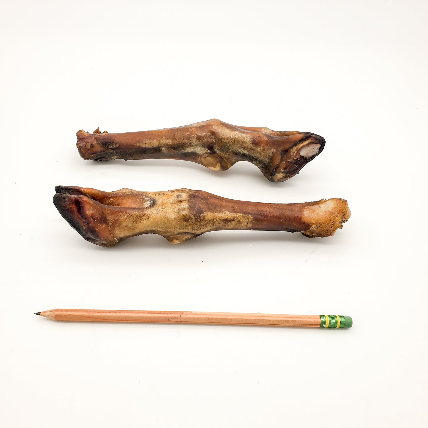 Herders Choice Chews Dried Sheep Legs 2 pcs.  Retail - Mongolian Chews