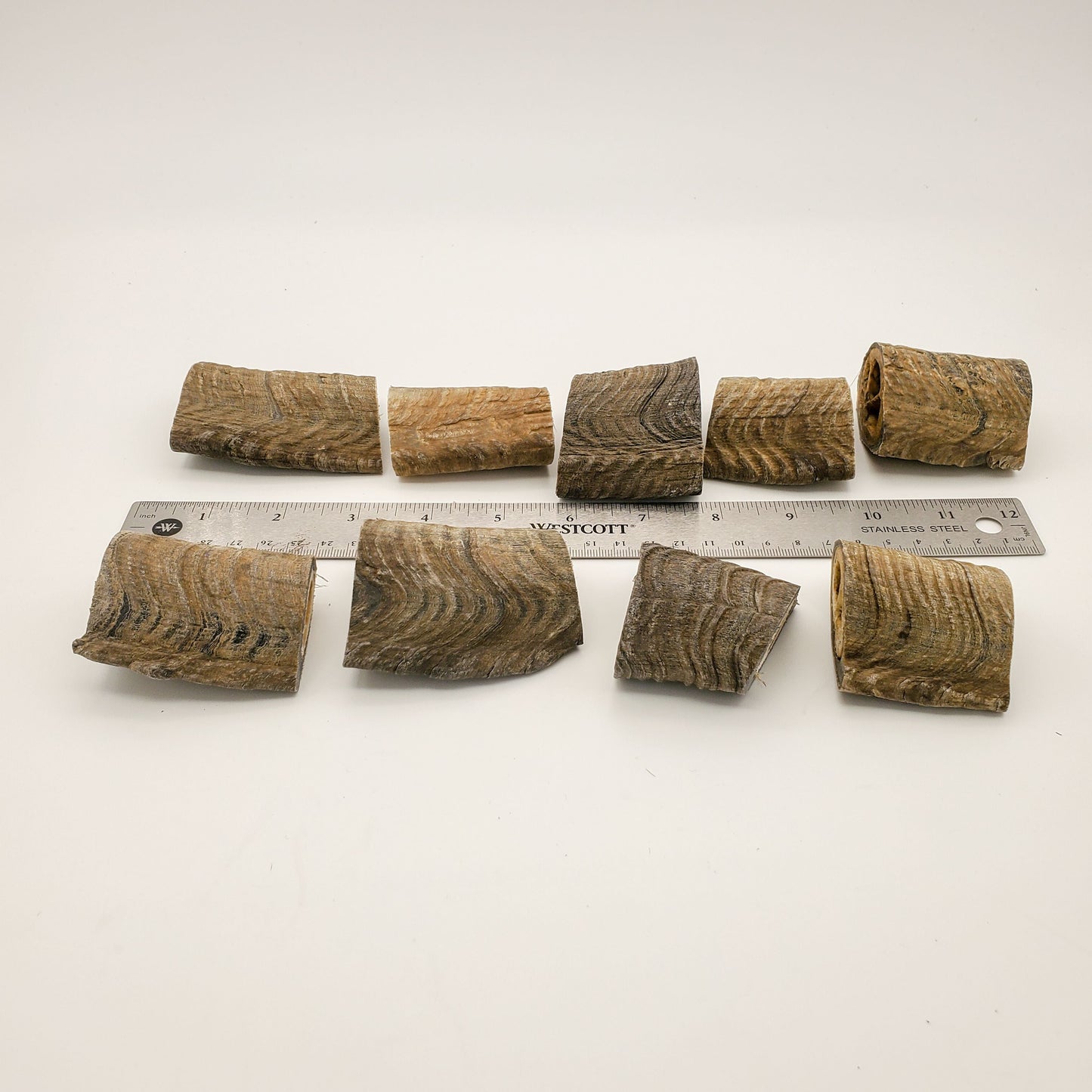 Herders Choice Chews Dried Goat Horns for Mini and small dogs only Square Cut 1 Lbs. POS - Mongolian Chews