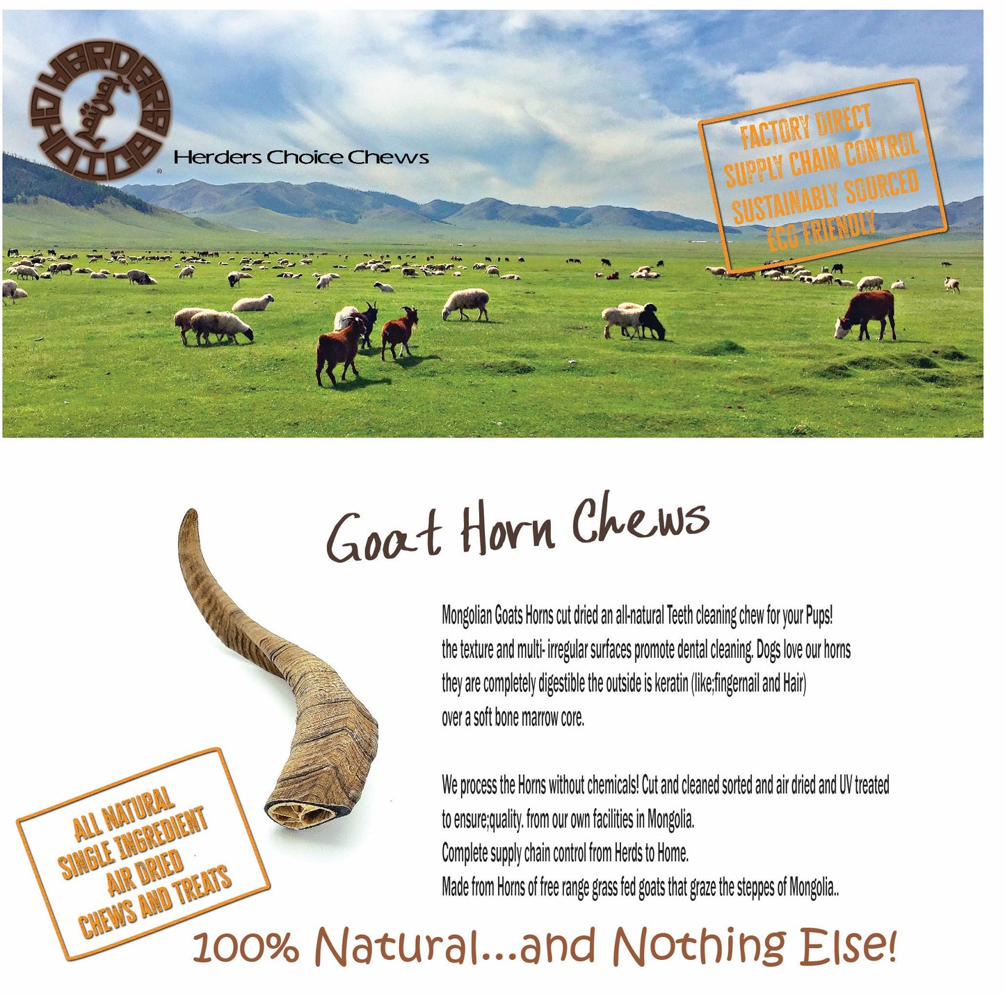 Herders Choice Chews Dried Goat Horns 2pcs. Medium sized Retail - Mongolian Chews