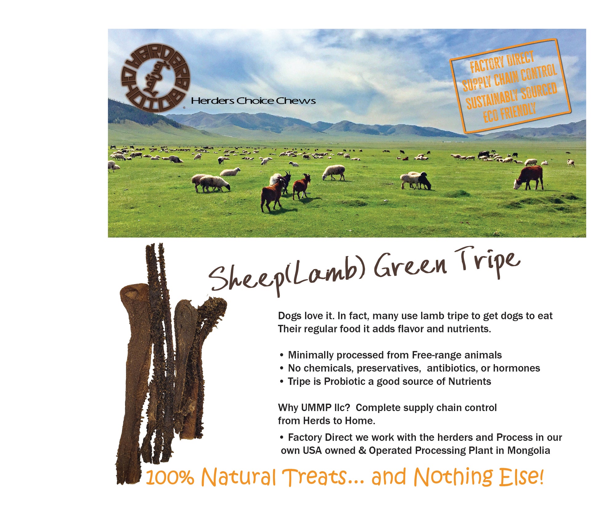 Herders Choice Chews Green Sheep Tripe Chips Chews Retail - Mongolian Chews