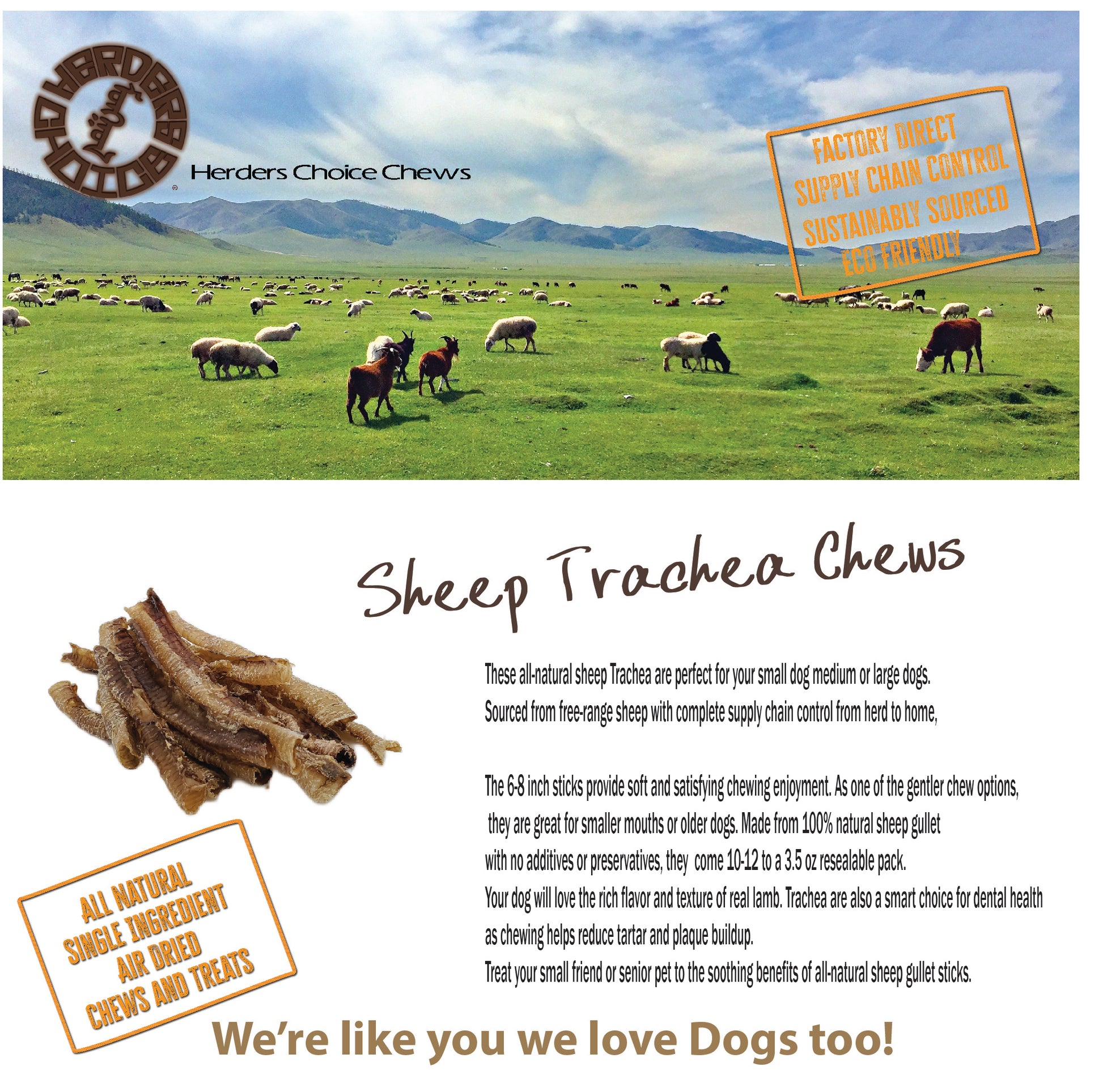 Sheep Trachea 100g 3.5 oz Retail - Mongolian Chews
