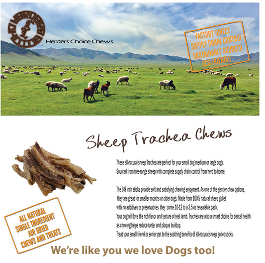 Sheep Trachea 100g 3.5 oz Retail - Mongolian Chews