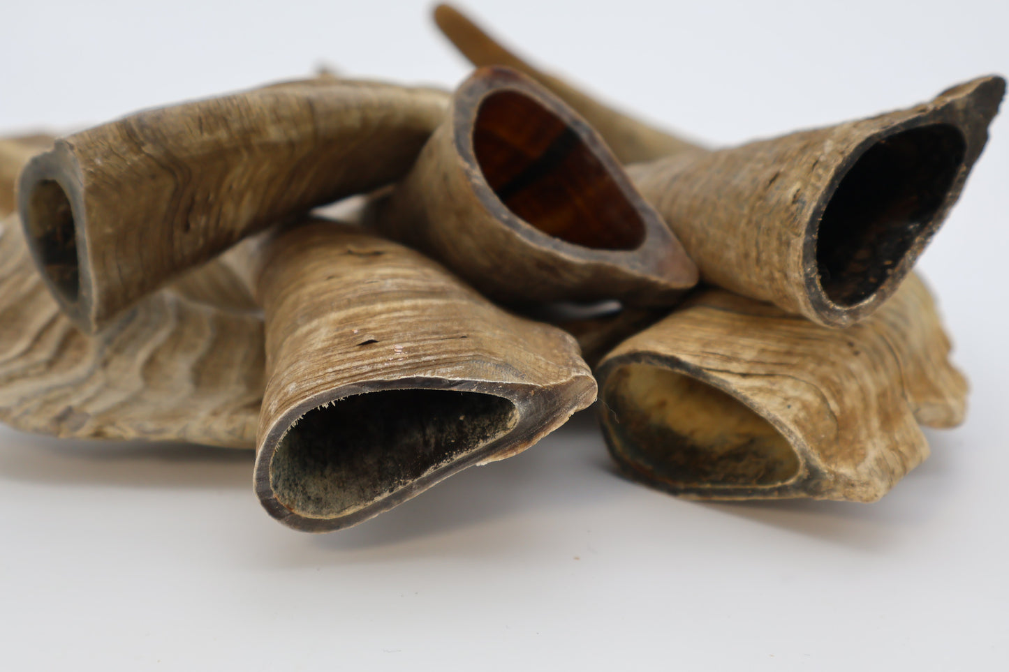 Goat Horn Hollow No Core - Mongolian Chews