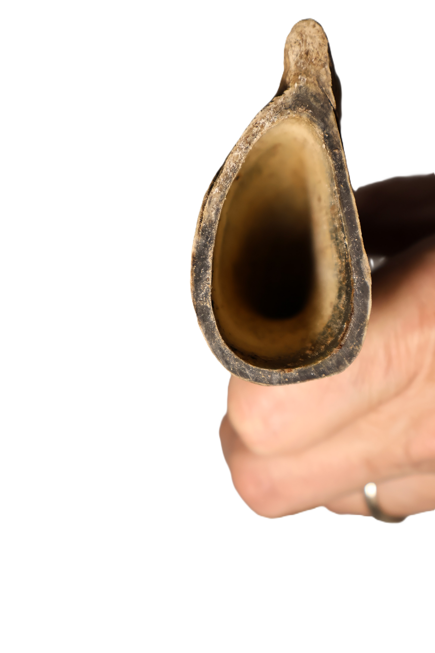 Goat Horn Hollow No Core - Mongolian Chews