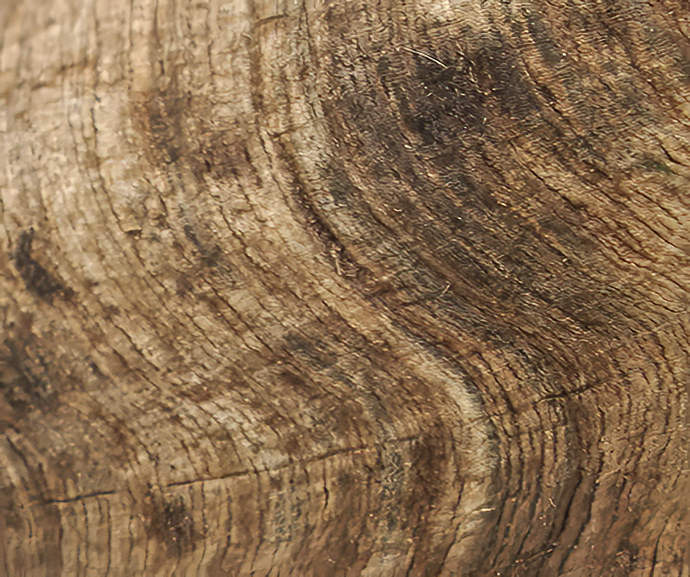 Herders Choice Chews Dried Goat Horns 2pcs. Medium sized   Retail - Mongolian Chews