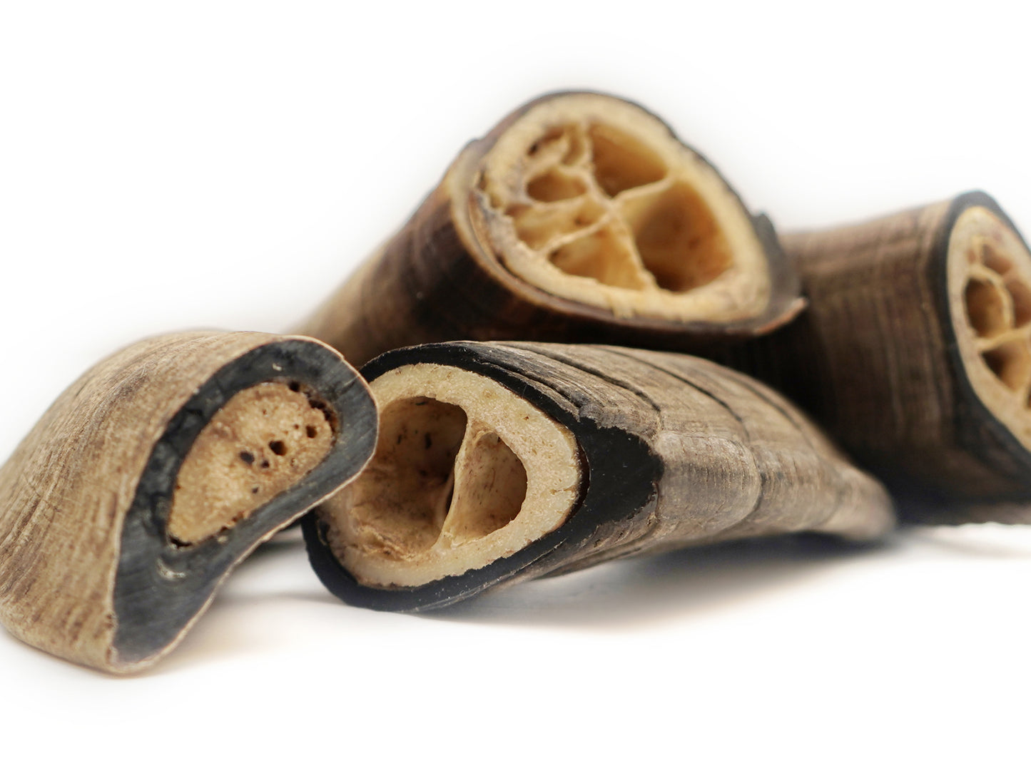 Herders Choice Chews Dried Goat Horns for Dogs  Large Square Cut  4 pc.   Retail - Mongolian Chews