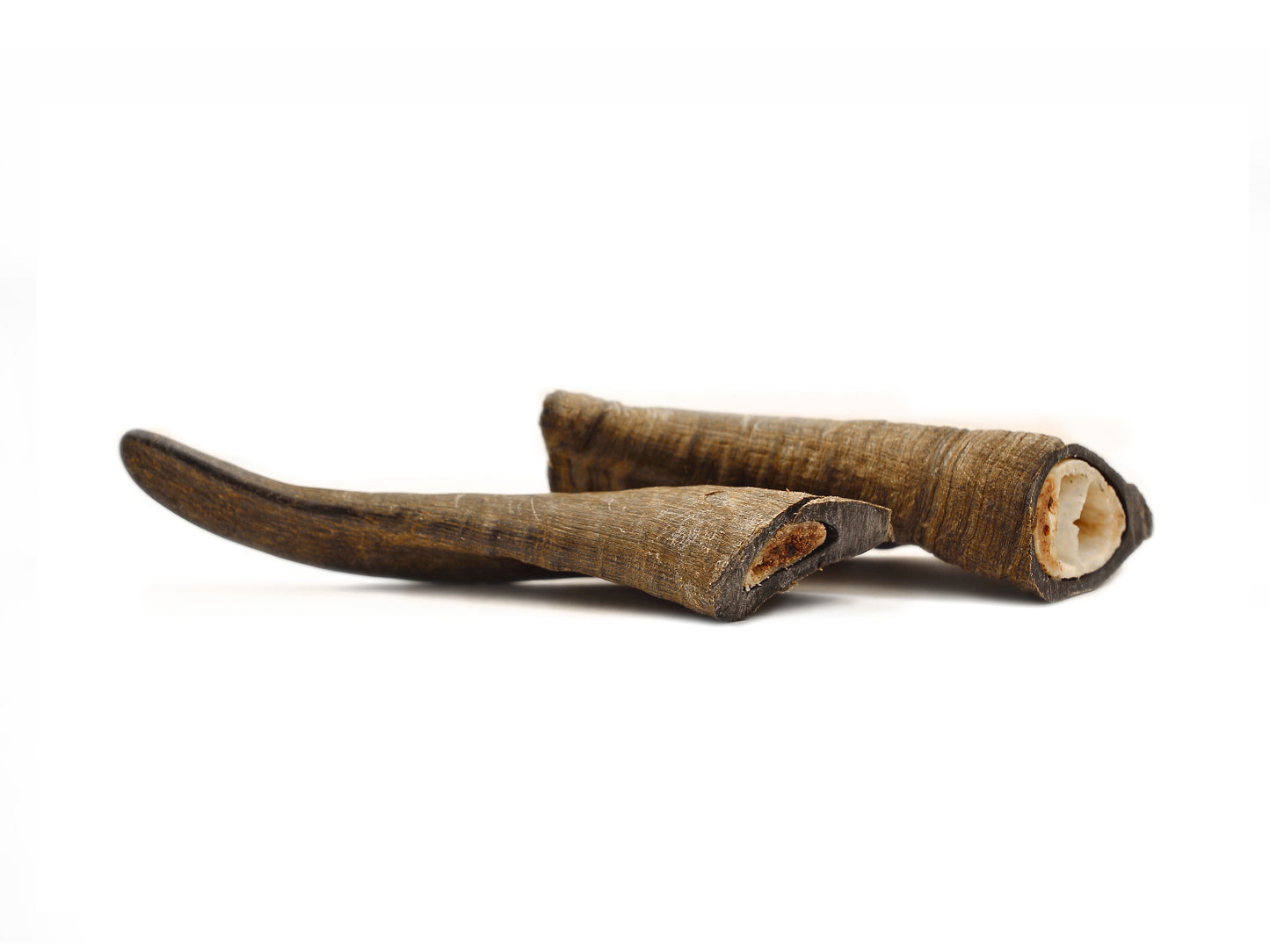 Herders Choice Chews Dried Goat Horns 2pcs. Retail - Mongolian Chews