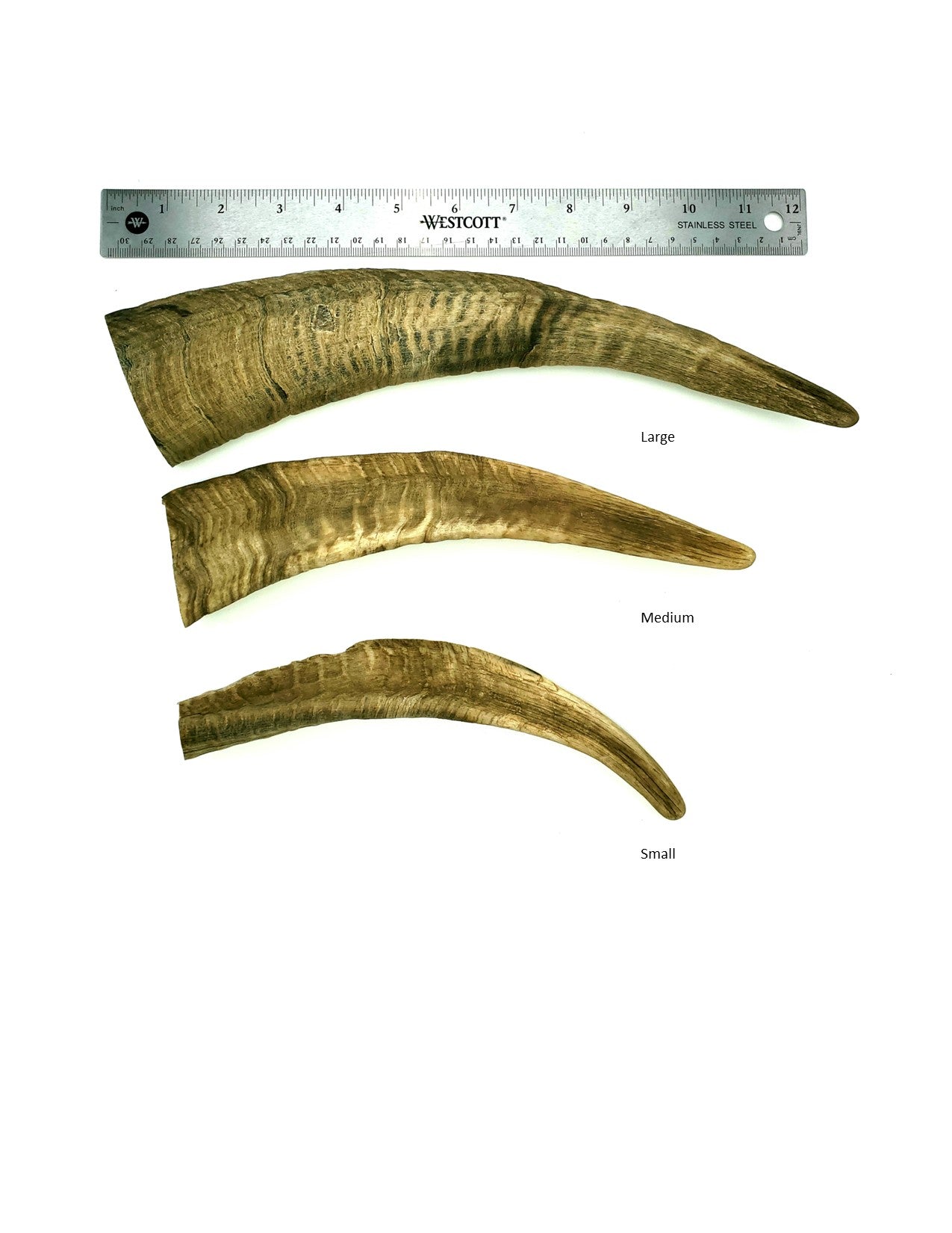 Herders Choice Chews Dried Goat Horns Large Single .  Retail - Mongolian Chews