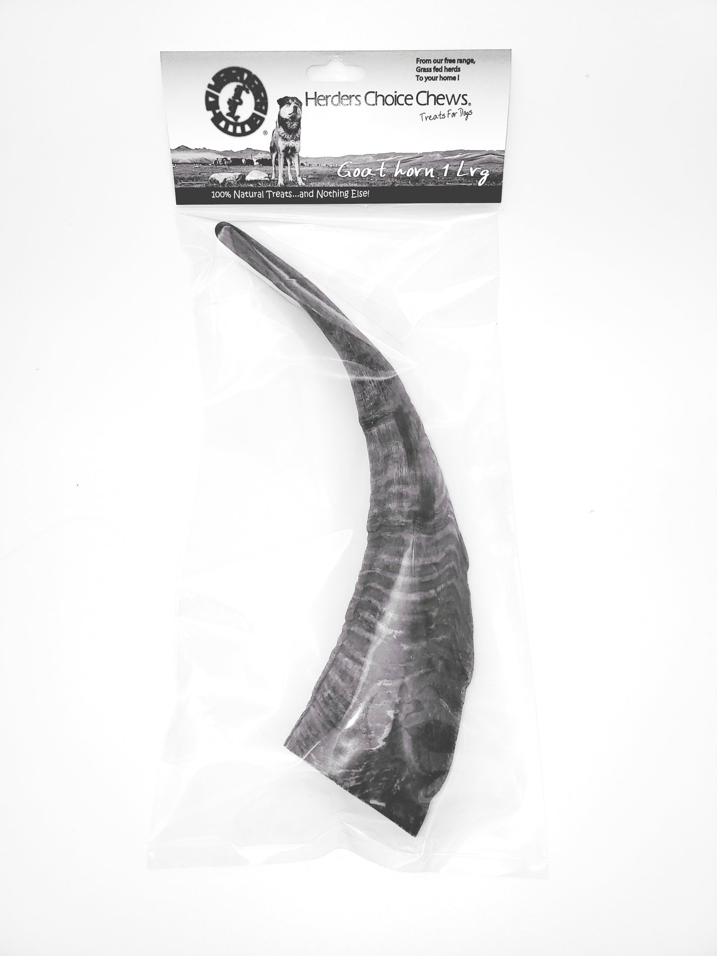 Herders Choice Chews Dried Goat Horns Large Single .  Retail - Mongolian Chews