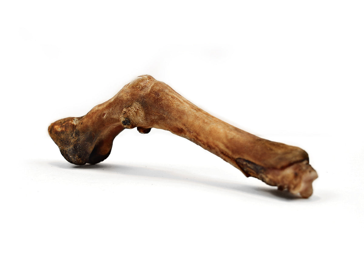 Herders Choice Chews Dried Sheep Legs bulk pack 1Lb.  Retail - Mongolian Chews