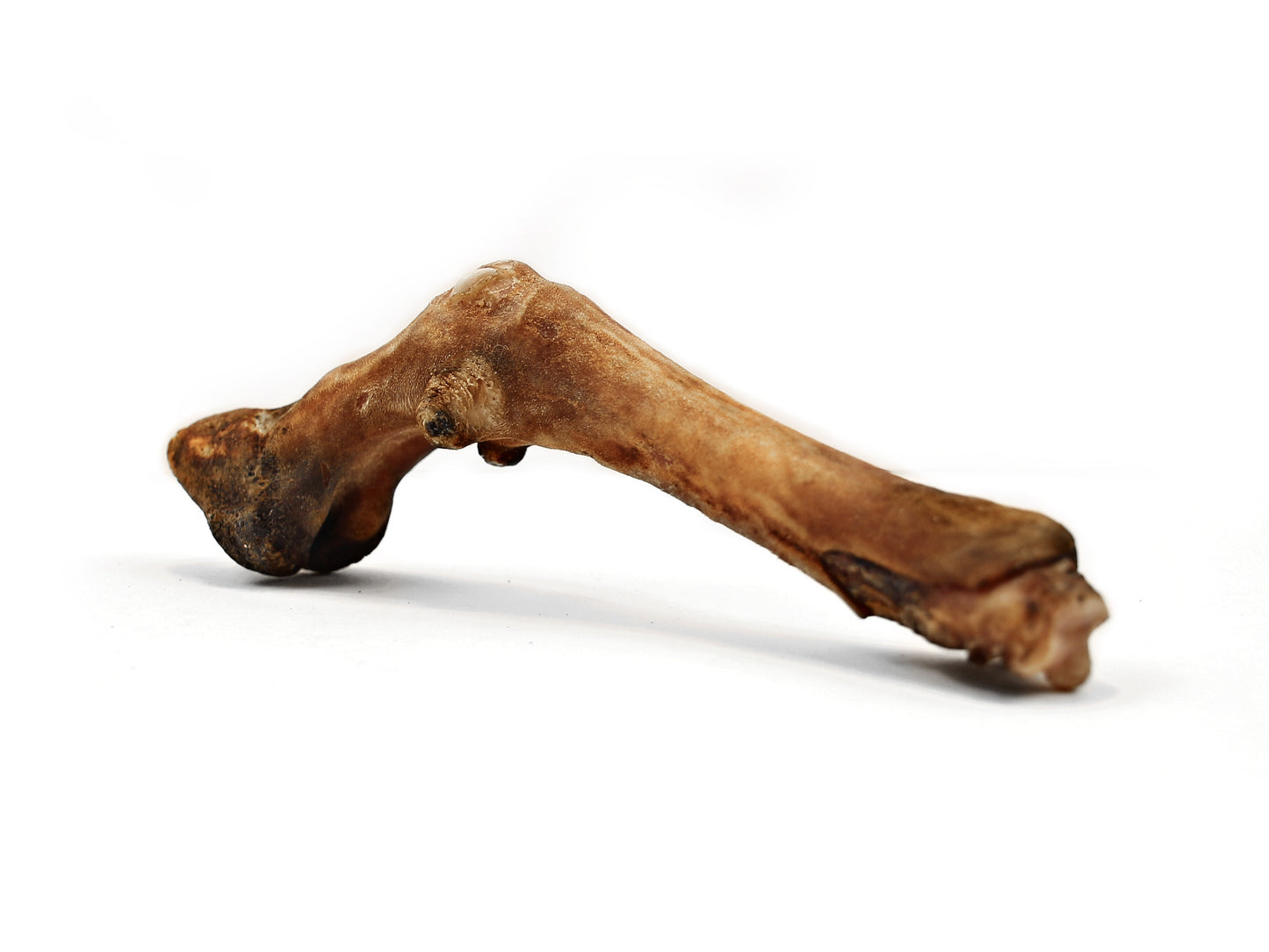 Herders Choice Chews Dried Sheep Legs bulk pack 2.2 lb. (1kg)  Retail - Mongolian Chews
