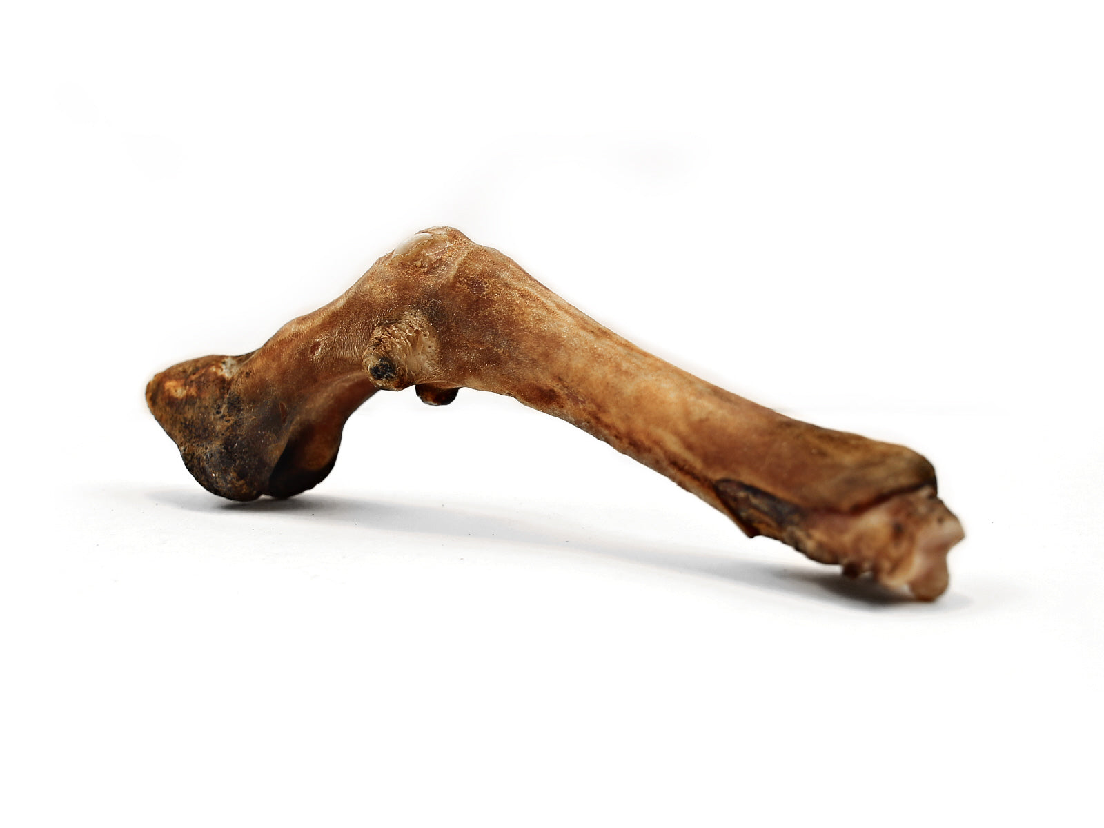 Herders Choice Chews Dried Sheep Legs bulk pack 2.2 lb. (1kg)  Retail - Mongolian Chews